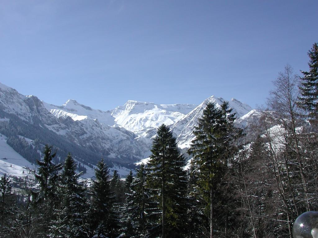 Hotel Crystal Adelboden Exterior foto